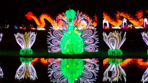 Lightopia in Crystal Palace Park